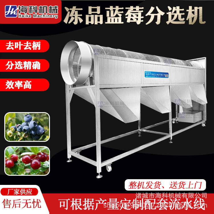 商用自动冻品蓝莓分级清洗线