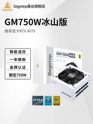 鑫谷GM750W冰山版电脑电源台式主机白色额定850W金牌全模组650W