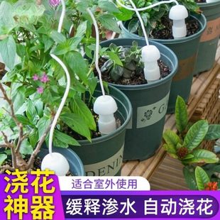 阳台懒人花园养花菜水器盆栽家用滴浇花神器自动浇水器滴灌器种