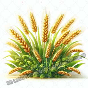 五谷丰登麦穗贴纸墙面客厅出租屋厨房瓷砖墙角小麦遮丑贴画防水贴