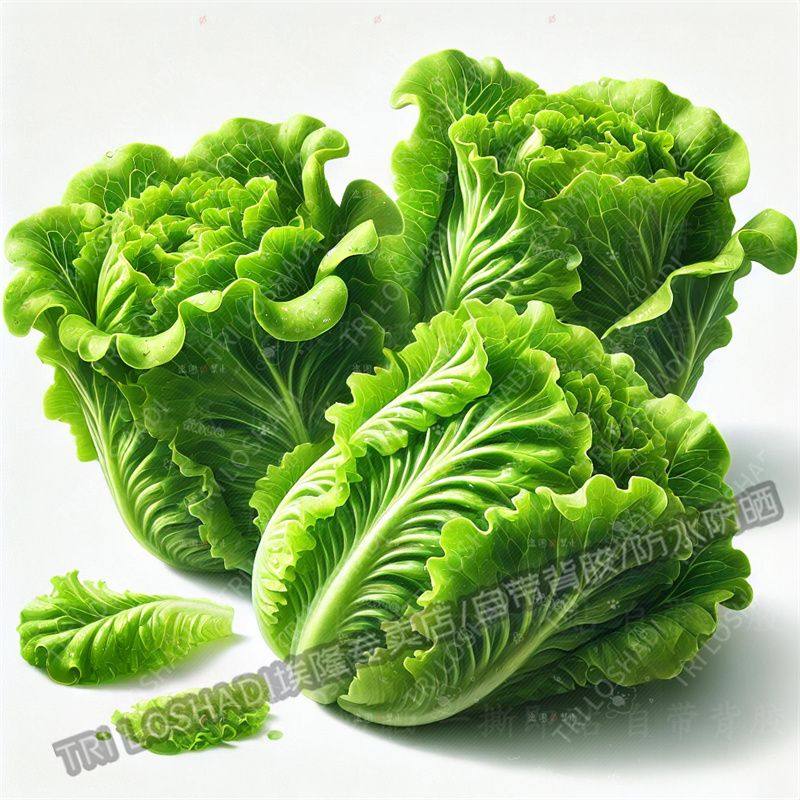 生财生菜创意贴画厨房冰箱瓷砖新鲜蔬菜贴画汽车电动车防水发财画