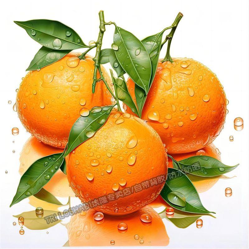 新鲜水果橙子自粘贴画餐厅厨房冰箱水果贴纸橱柜瓷砖环保贴纸自粘