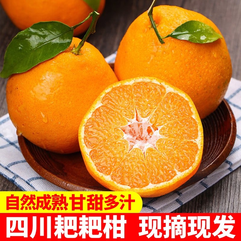 新鲜现摘正宗四川春见耙耙柑爆浆爆汁纯甜橘子粑粑柑子带箱4.5斤,水产肉类/新鲜蔬果/熟食,桔子,淘宝优惠券,粉丝福利购,淘宝优惠卷