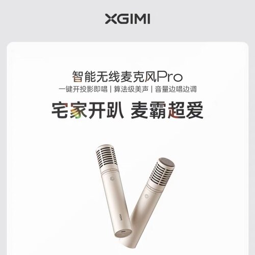 极米投影原装麦克风pro
