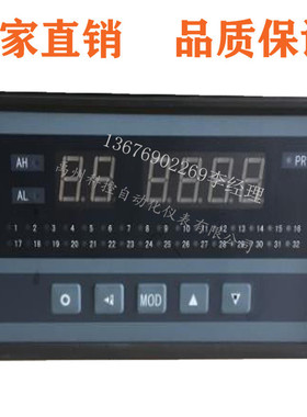 上润WP-XSL-A-32RS2P0路多路巡检仪带RS485通讯PT100输入