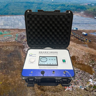 便携式恶臭污染物在线监测仪 可监测异味臭味恶臭八因子浓度值