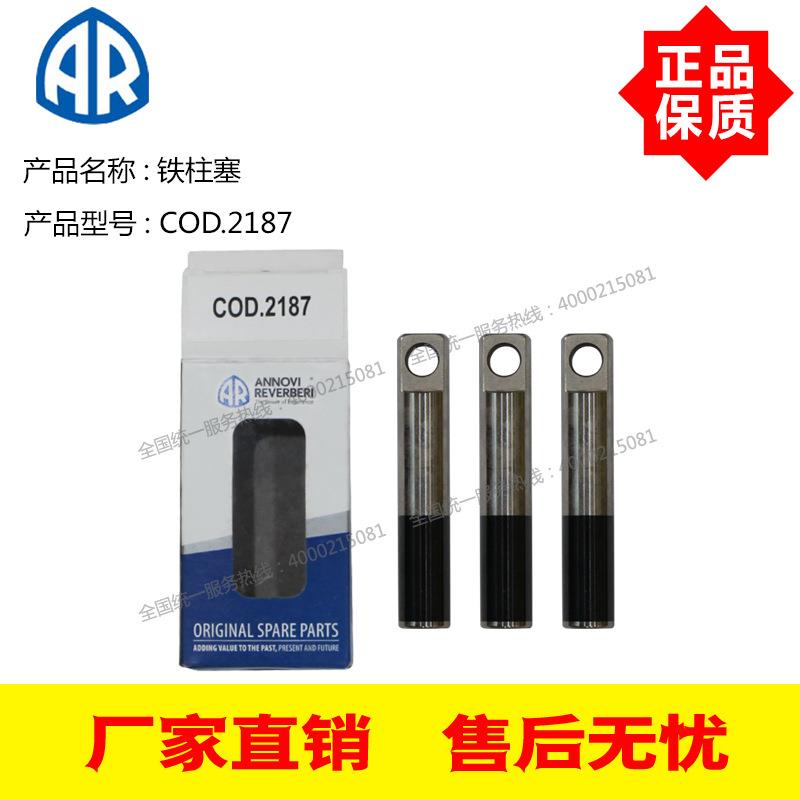 AR高压柱塞泵RSV3G30 RSV4G36 配件铁柱塞COD.2187