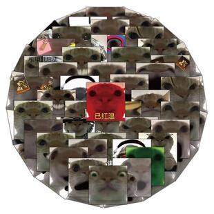饰贴画 和平精英地铁逃生贴纸大头猫广西大师歪头猫小猫表情包装