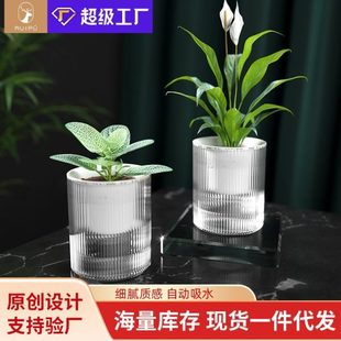 家用自销懒人黄金透明直花盆葛水培花盆水培吸水高养文竹颜值