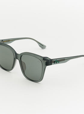 EVISU太阳镜2078-C4-C1男款淡绿色太阳镜显脸小气质百搭潮