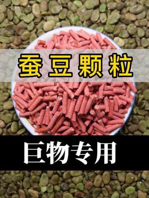 秋季新品青鱼蚕豆颗粒饵料草鱼窝料大物黑坑专用挂钩皮筋鱼饵饲料