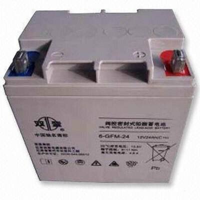 双登蓄电池12V24AH  6-GFM-24 UPS备用双登1R2V24ah电源蓄电池