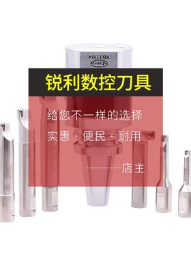 锐利BH2084微调m精镗刀套装搪孔刀头NT40 50可调式微调头精镗刀