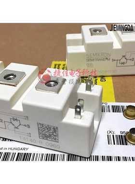 SKM75GB12V/75GB12T4 SKM100GB12T4/12V/123D BTSM75GB120DLC