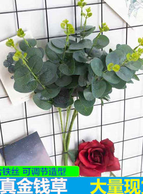 2026新款仿真尤加利叶枝北欧风情婚庆装饰家居插花绿植橱窗摆件