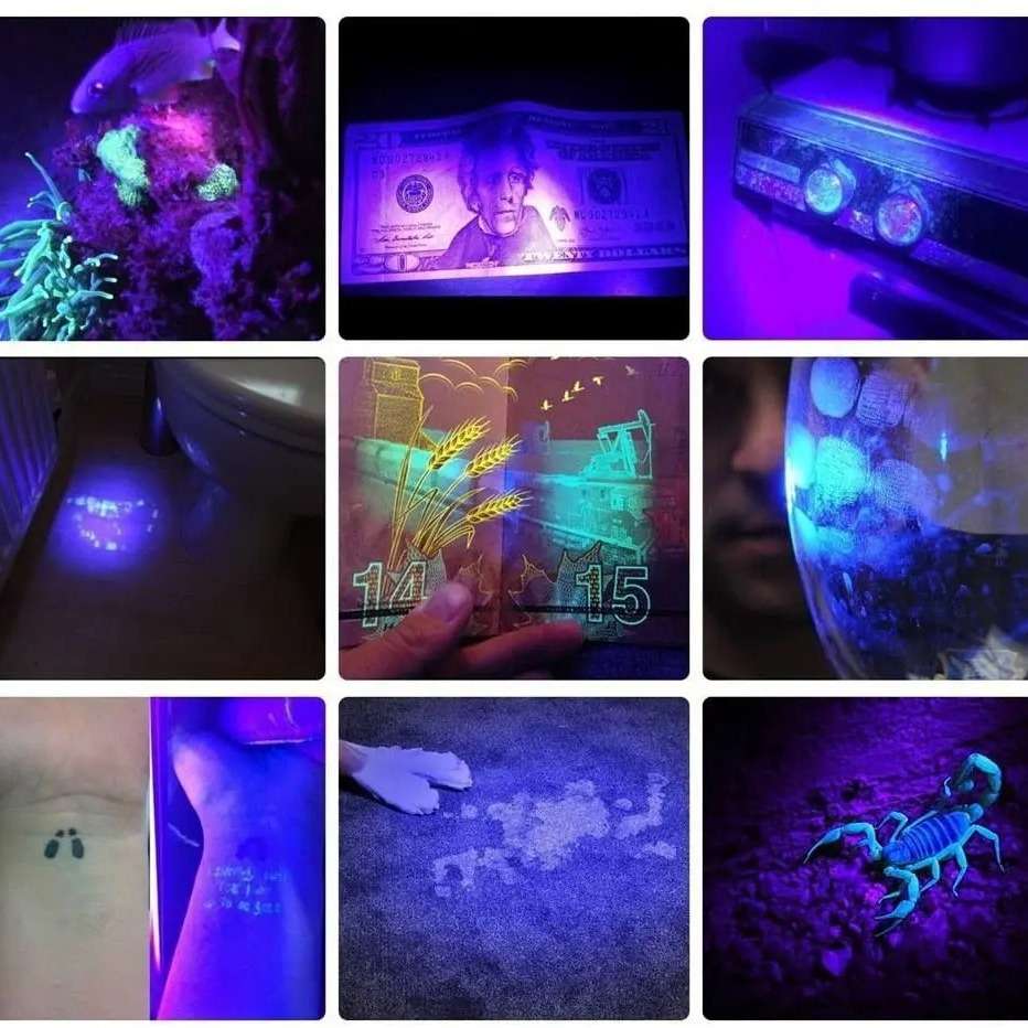 手电黑镜紫光5W 365nm UV固化LED手电筒鉴定照猫藓尿癣真菌检测灯