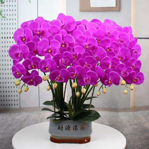 手感蝴蝶兰花艺摆花客厅电视柜摆设花装饰假花摆仿真花蝴蝶兰盆栽