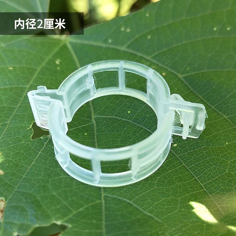 扶蔓吊夹绑蔓夹秧卡扣绿植夹藤蔓定夹固椒辣茄子固定器秧苗植物夹