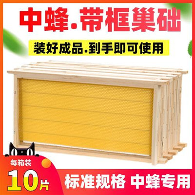 巢框中蜂巢础蜂巢蜂巢础带框成品蜂巢框蜜蜂蜂蜡蜂箱养蜂工具蜂具