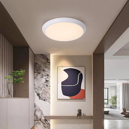 阳台灯户外走廊入户防蚊虫防雾超亮室内过道书房卧室led中山灯具