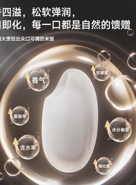 DCS智能电饭煲多功能家用快煮慢炖婴儿粥2-4人家庭不粘内胆电饭锅