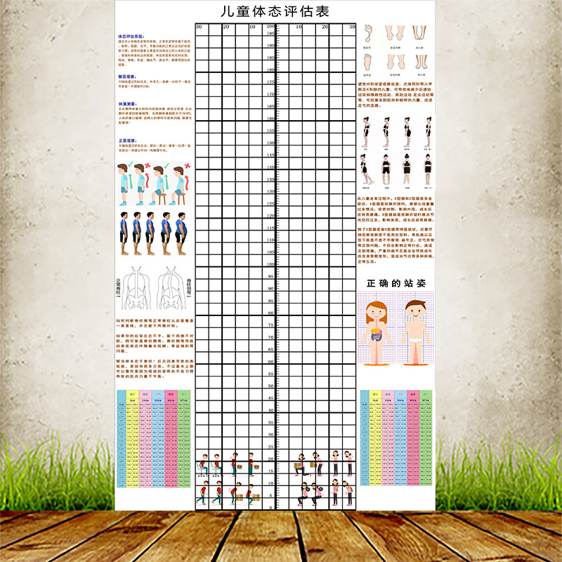 儿童版体态评估表 挂式  男孩女孩身高测量图壁画壁纸
