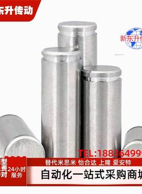 MHC02/06/21/22/23/24/25/31/41/42-D-3/4/5/6/8/10/12-L10铰链销