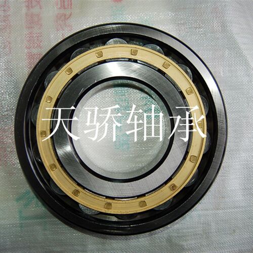N222 轴承 天马轴承  TMB 110*200*38 瓦房店轴承 ZWZ