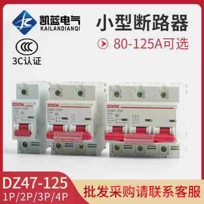 家用空气开关DZ47-100A 1P 2P 3P 4P100A125A D型空开小型断路器
