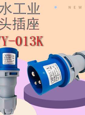 远亚电气 新型工业插头 ZYY-013K  16A  三极插头 蓝色IP44  220V