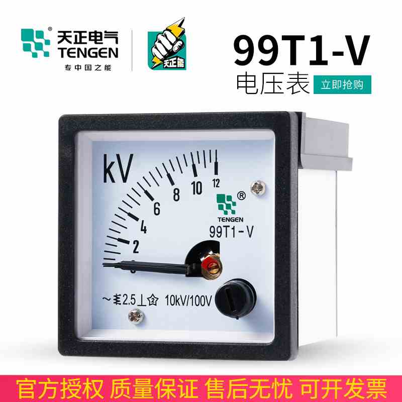 TENGEN天正电气99T1-V电压表交流指针式10KV/100V 12KV 250V 450V