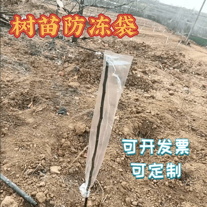 树苗防冻防寒防风直筒嫁接袋