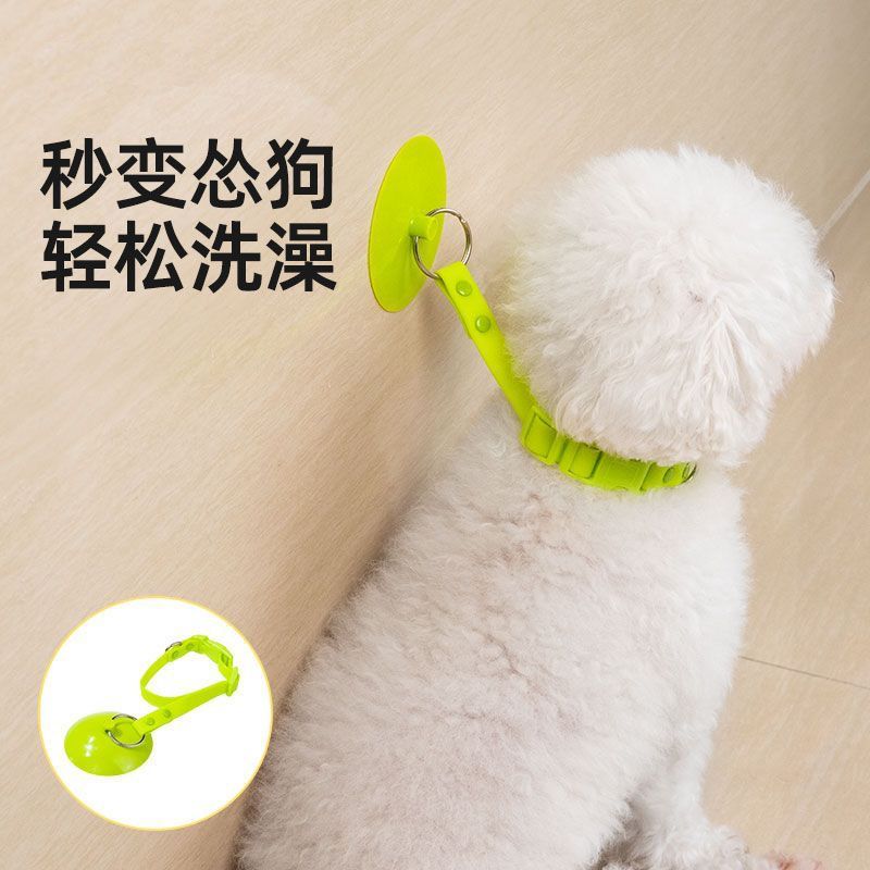 猫咪狗狗宠物洗澡可拆卸吸盘固定器美容防挣脱防抓跑绑带项圈