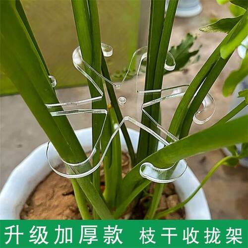 绿植防倒伏透明八方钩龟背竹春羽支撑钩花卉收拢固定架