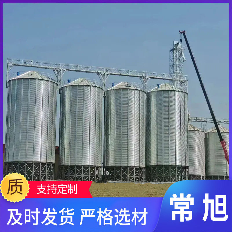 装配式钢板仓玉米储存仓锥底圆筒仓长久储存通风好