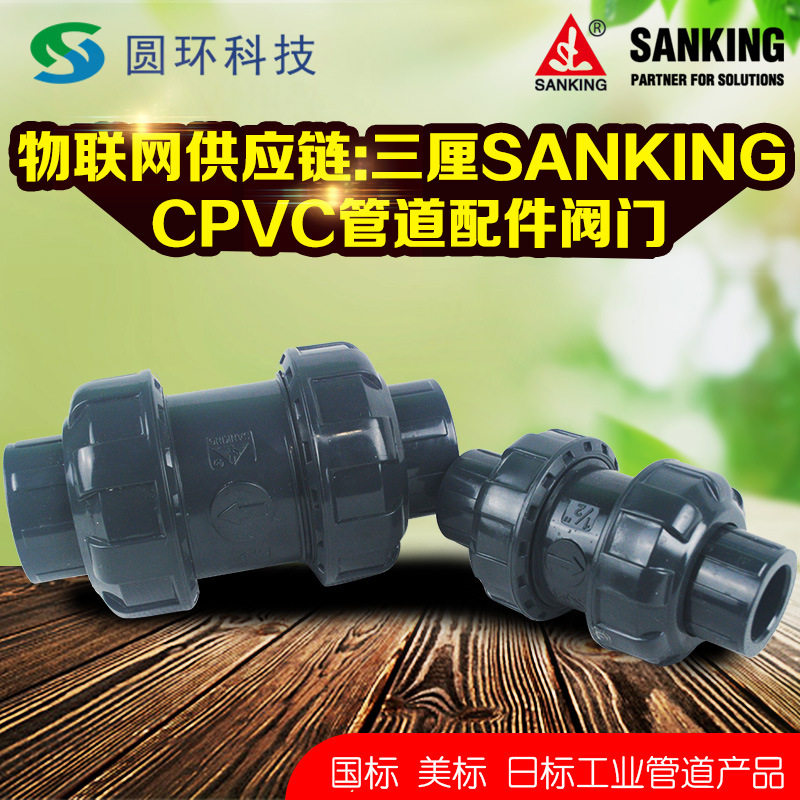 SANKING三厘DIN国标CPVC双活接止回阀4分6分10分c-pvc逆止阀单向