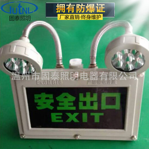 BAYD81-2*5W防爆双头应急标志灯