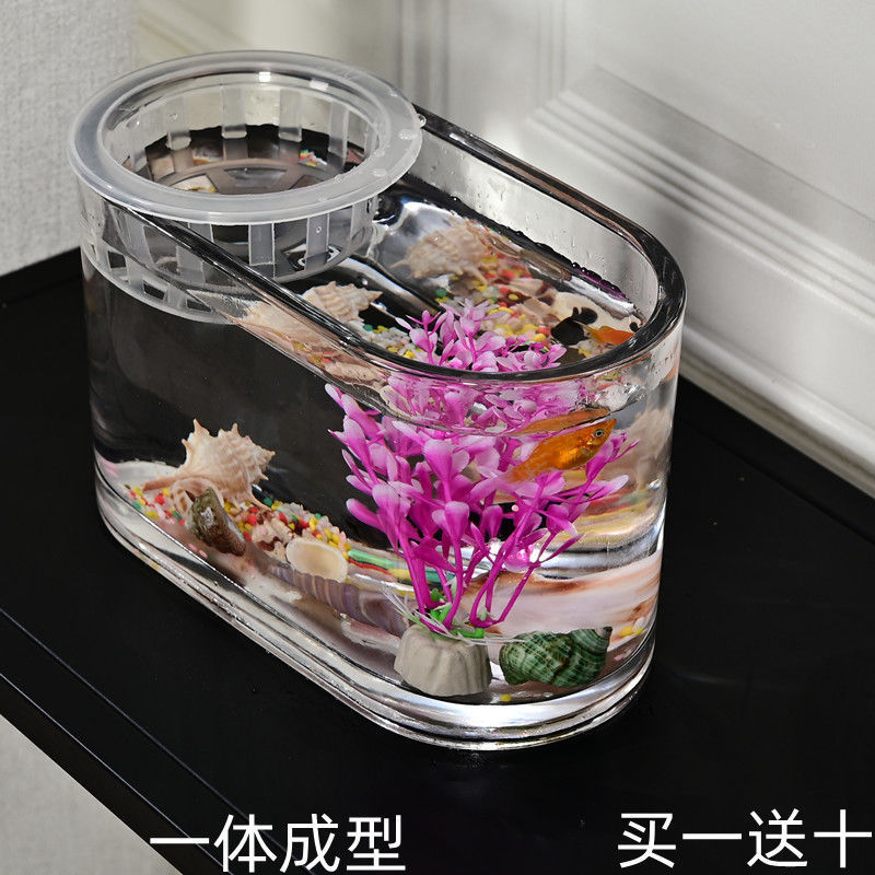 花盆鱼缸一体玻璃罐养鱼植物养花玻璃容器免打理生态鱼缸客厅摆放