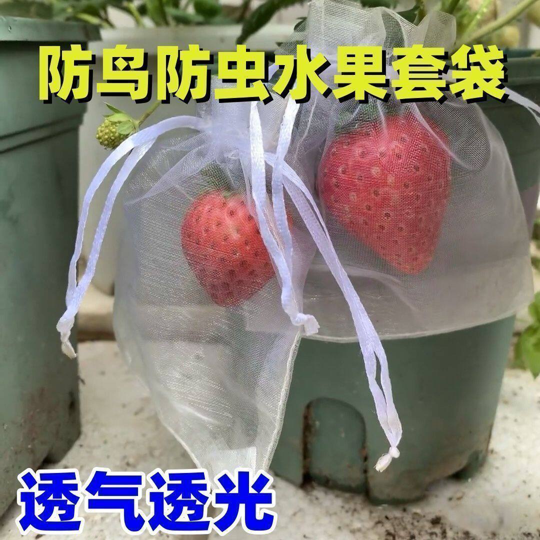 多规格透明抽绳纱网袋喜糖礼品分装干花首饰果蔬防虫通用收纳束袋