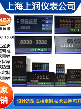 HR-WP-DC-XC801-00-0-500V-T单相直流电压表数显电压测量仪表