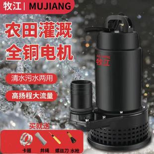 江直牧潜水泵1V8V2用灌4816060V2流V电瓶车7污水泵抽水4农农田流