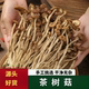 云南茶树菇干货农家特产干新货批发香菌菇炖汤食材优质野生茶树菇
