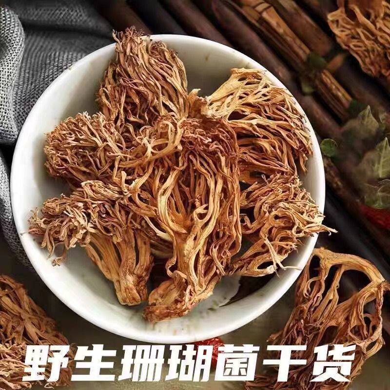 云南野生珊瑚菌扫把菌新鲜干货野生蘑菇爆炒龙爪菇菌鹿茸菌煲汤食