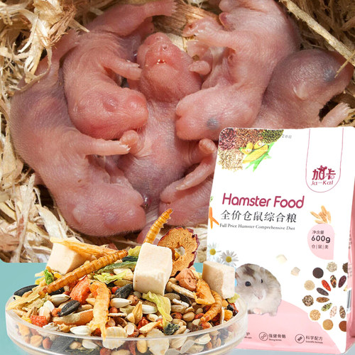 金丝熊小昌仓鼠宝宝幼崽粮食生宝宝营养品幼鼠粮辅食物月子餐零食