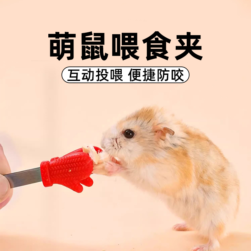 抓仓鼠喂食夹子大号投喂镊子金丝熊生活用品全套齐全解闷玩具零食