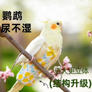 鸟专用衣服尿便兜 鹦鹉尿不湿屎兜一次性虎皮牡丹玄凤小太阳纸尿裤