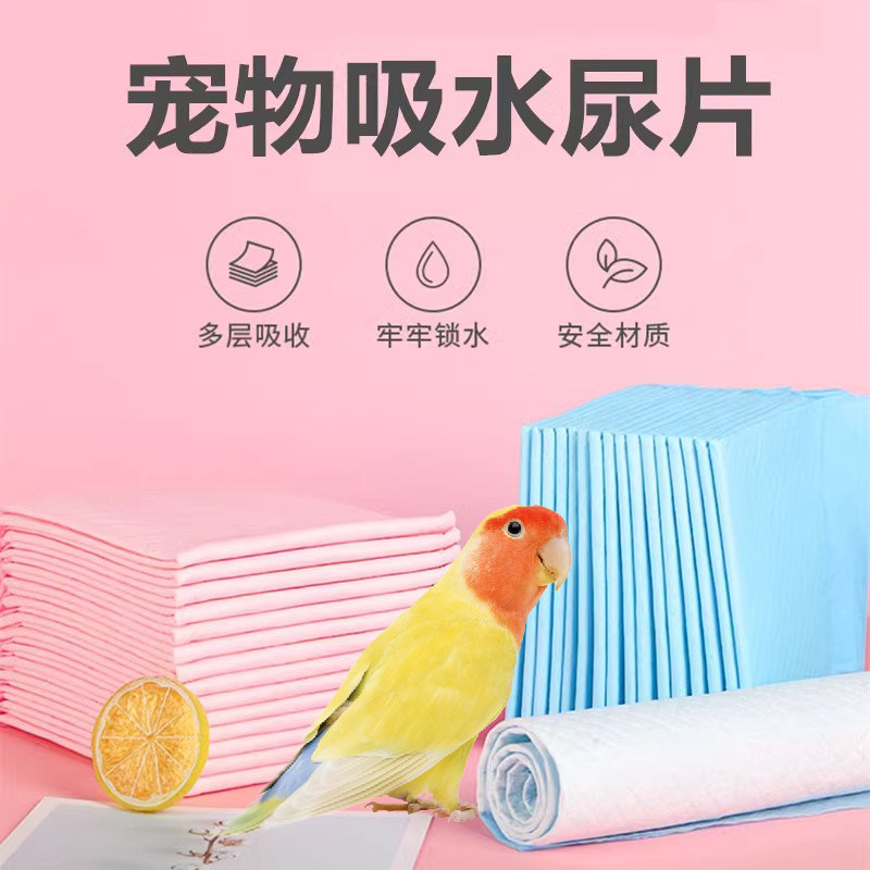 鸟笼垫纸鹦鹉尿垫尿布加厚吸水宠物一次性粪便尿不湿托盘清理接粪,宠物/宠物食品及用品,鸟禽其他,淘宝优惠券,粉丝福利购,淘宝优惠卷