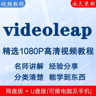 videoleap视频教程全集 下单秒发