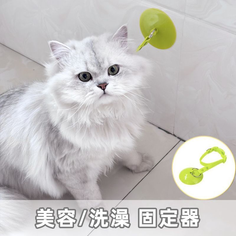 猫咪狗狗宠物洗澡可拆卸吸盘固定器美容防挣脱防抓跑绑带项圈