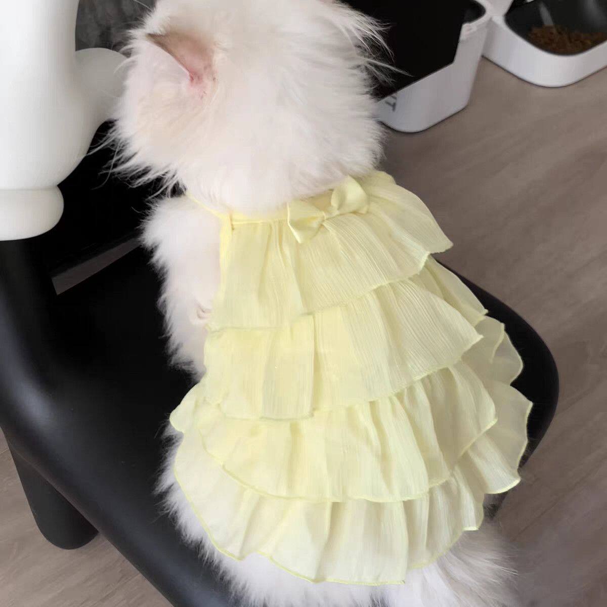 宠物柠檬公主吊带裙猫咪衣服防掉毛布偶德文金渐层小型犬背心